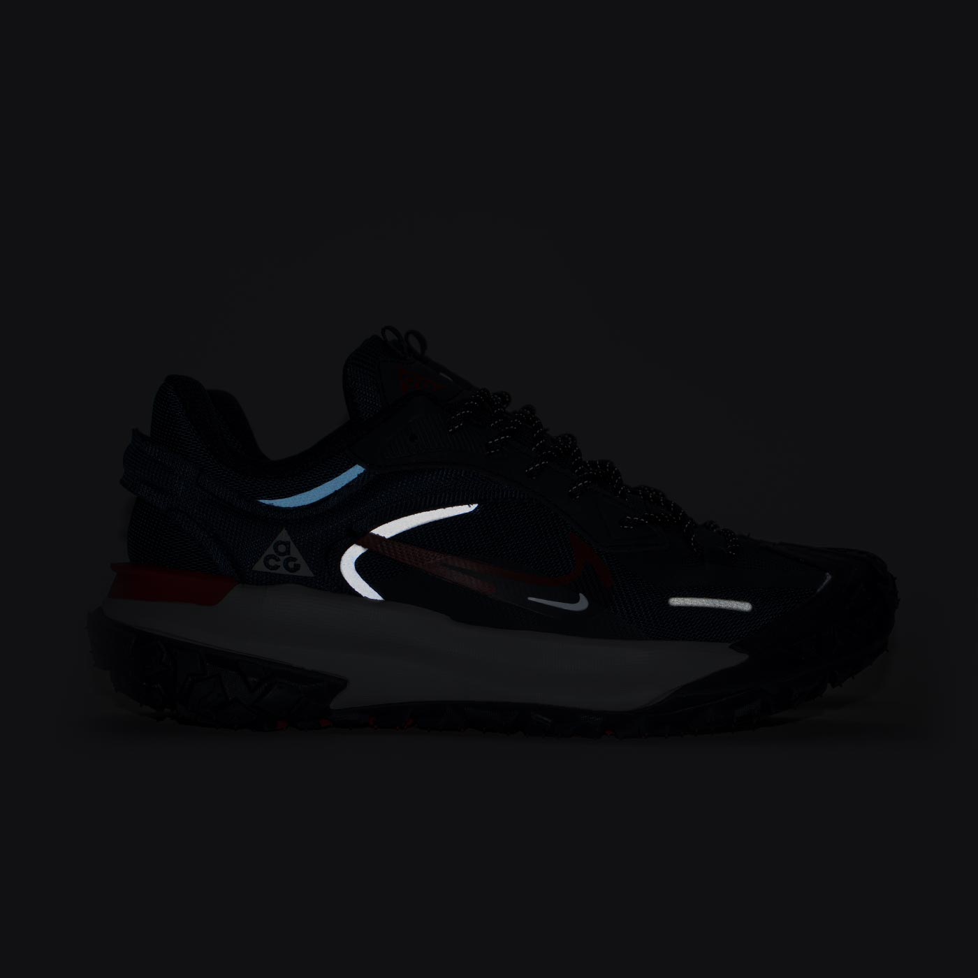 Кроссовки Nike ACG Mountain Fly 2 Low Gtx Blue White