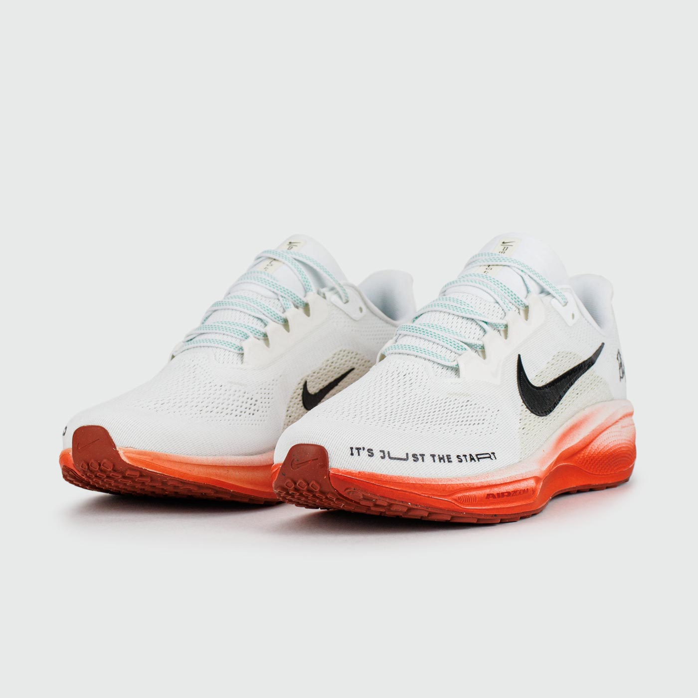 Кроссовки Nike Pegasus 41 Eliud Kipchoge Кроссовки Nike Pegasus 41 Eliud Kipchoge
